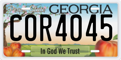 GA license plate COR4045