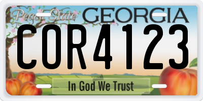 GA license plate COR4123