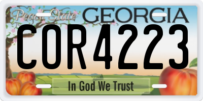 GA license plate COR4223