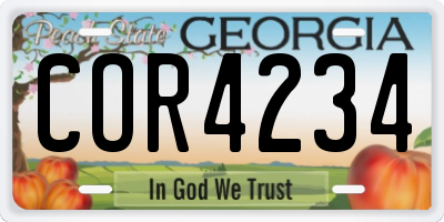GA license plate COR4234