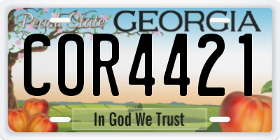 GA license plate COR4421