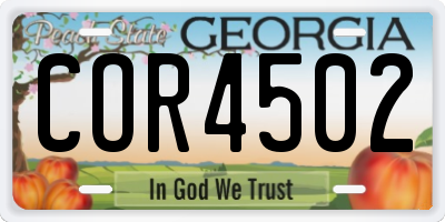 GA license plate COR4502