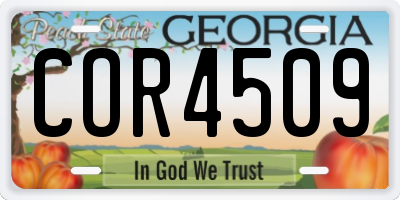 GA license plate COR4509