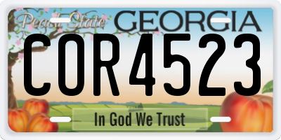 GA license plate COR4523
