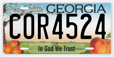 GA license plate COR4524
