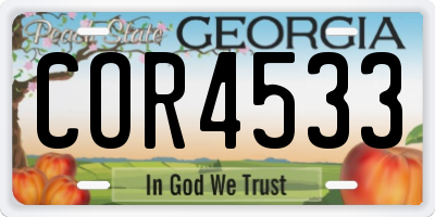 GA license plate COR4533