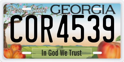 GA license plate COR4539