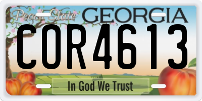 GA license plate COR4613