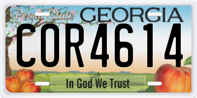 GA license plate COR4614