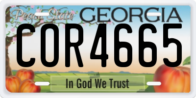 GA license plate COR4665