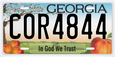 GA license plate COR4844