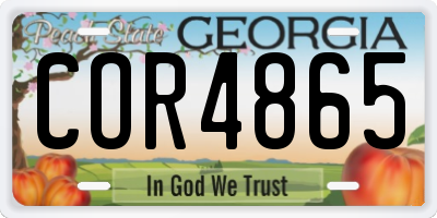 GA license plate COR4865
