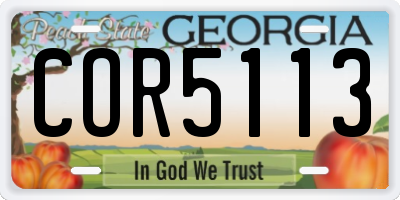 GA license plate COR5113