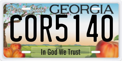 GA license plate COR5140