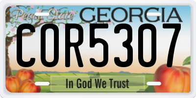 GA license plate COR5307