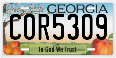 GA license plate COR5309