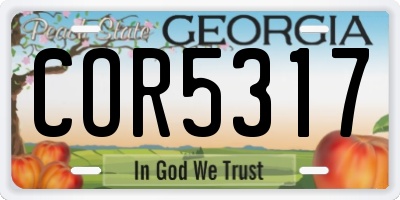 GA license plate COR5317