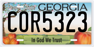GA license plate COR5323