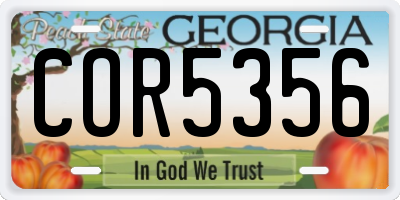 GA license plate COR5356