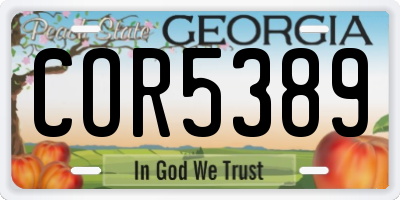 GA license plate COR5389