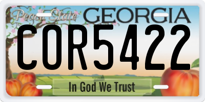 GA license plate COR5422