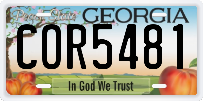 GA license plate COR5481