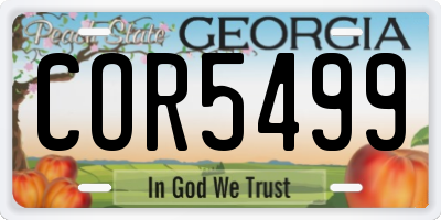 GA license plate COR5499