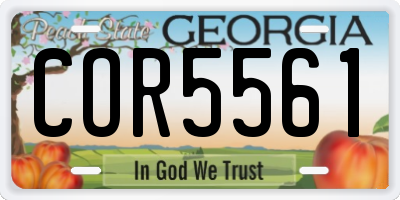 GA license plate COR5561