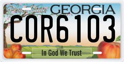GA license plate COR6103