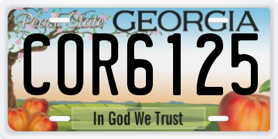 GA license plate COR6125