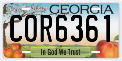GA license plate COR6361