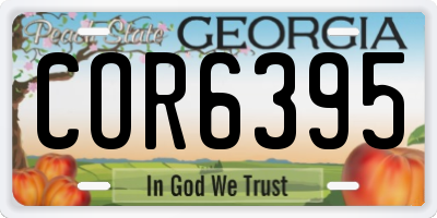 GA license plate COR6395