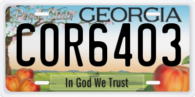 GA license plate COR6403