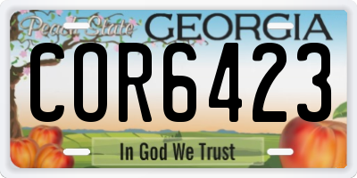 GA license plate COR6423