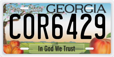GA license plate COR6429