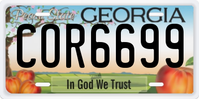 GA license plate COR6699