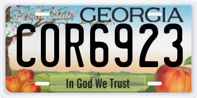 GA license plate COR6923