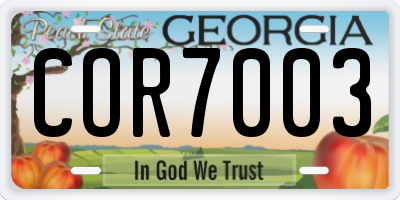 GA license plate COR7003