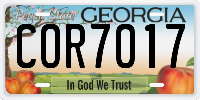 GA license plate COR7017