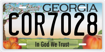 GA license plate COR7028