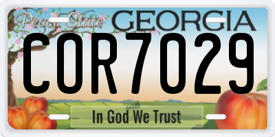 GA license plate COR7029