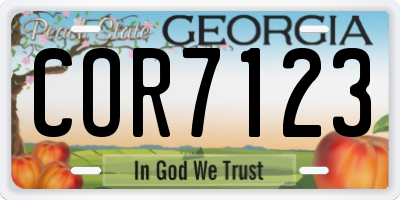 GA license plate COR7123