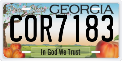 GA license plate COR7183