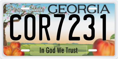 GA license plate COR7231