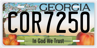 GA license plate COR7250