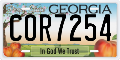 GA license plate COR7254