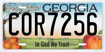 GA license plate COR7256