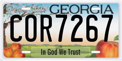 GA license plate COR7267