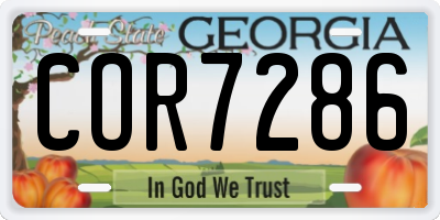 GA license plate COR7286