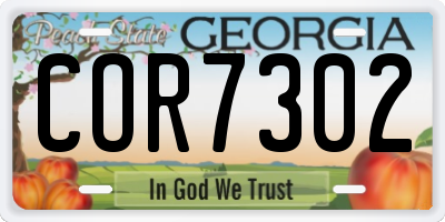 GA license plate COR7302